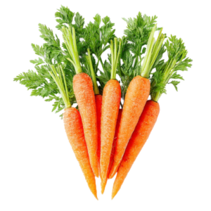 Carrot